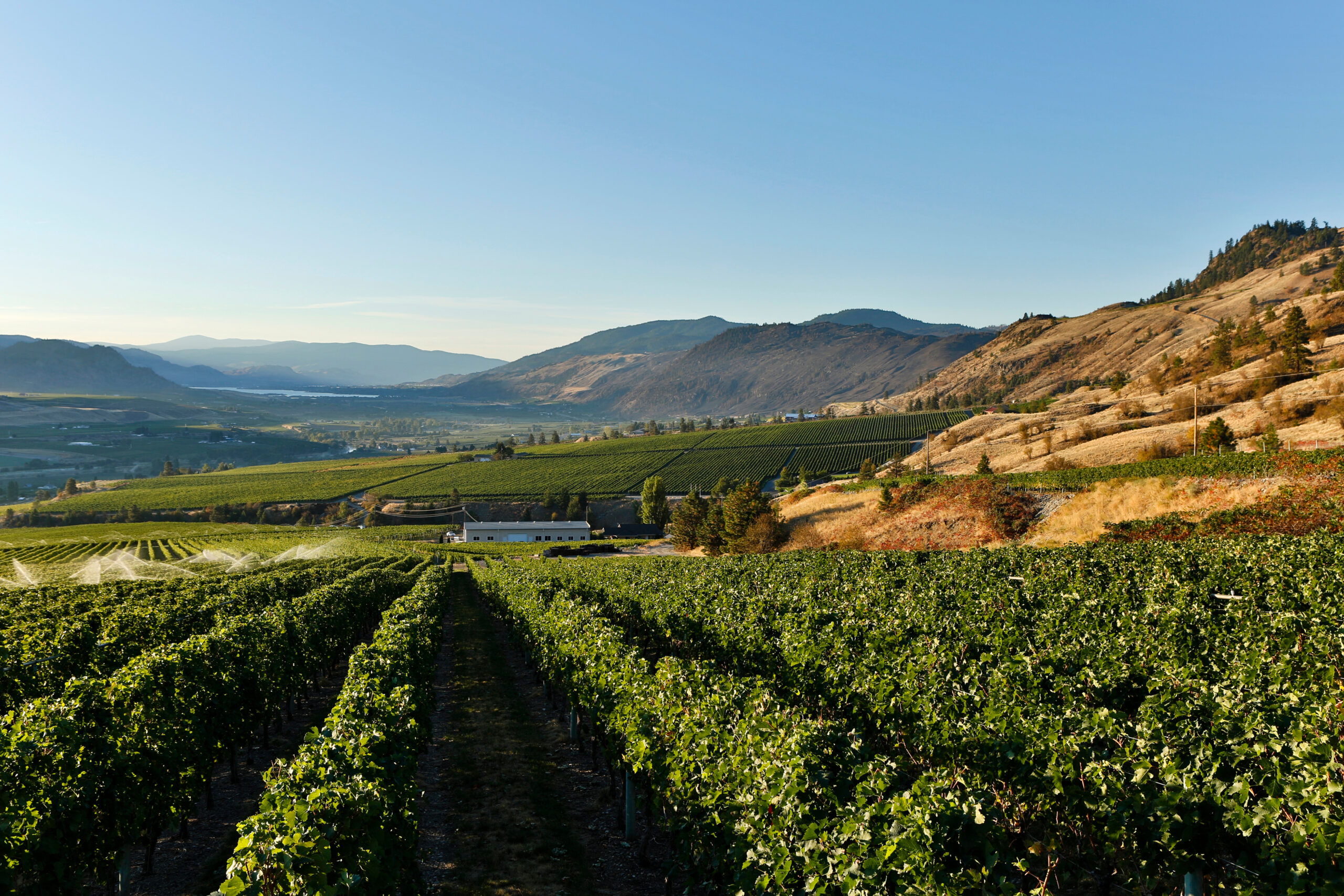 Savour the Splendour of Osoyoos Wine Tours