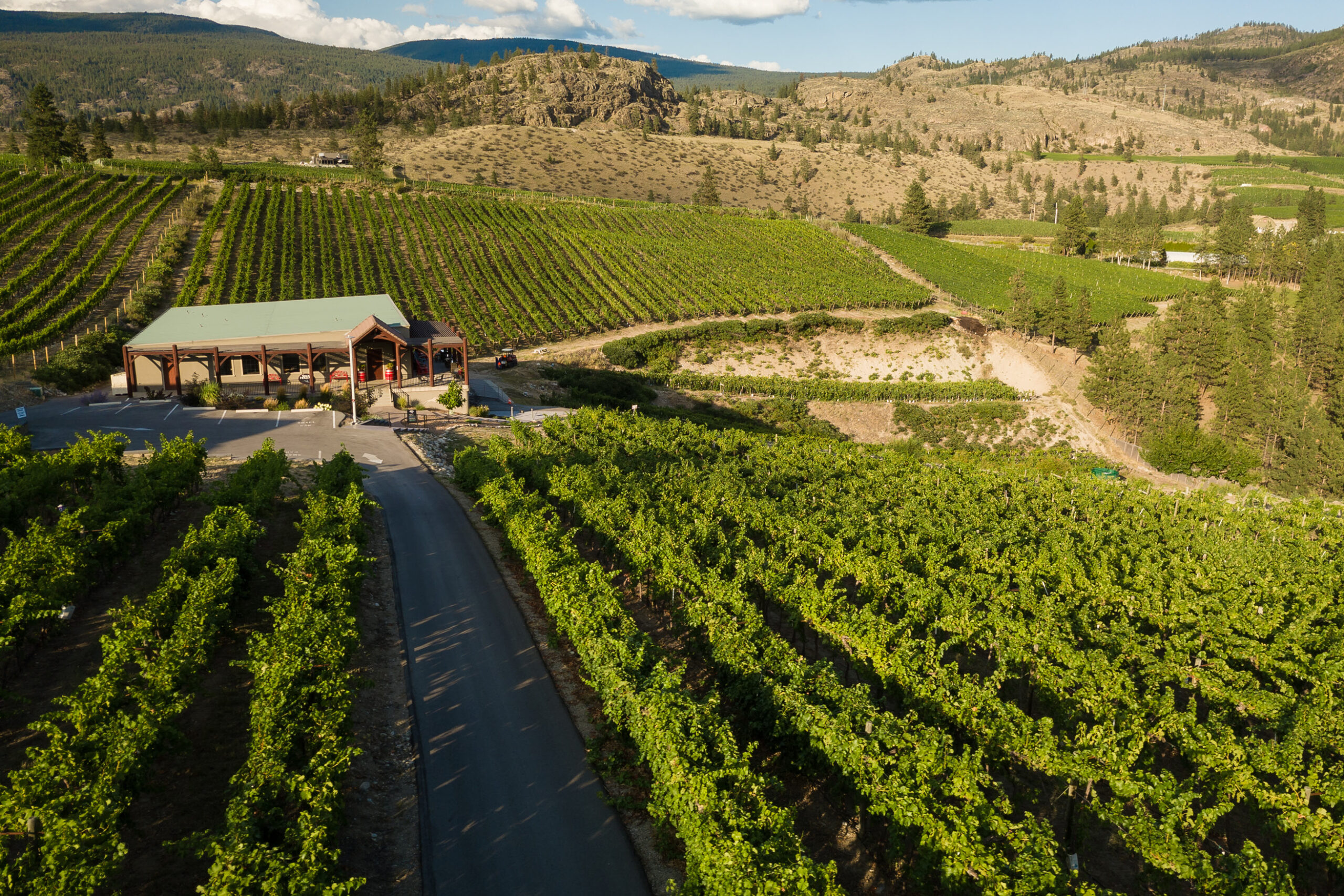 Stag’s Hollow Winery: A Pioneering Spirit in the Heart of Okanagan Wine Country